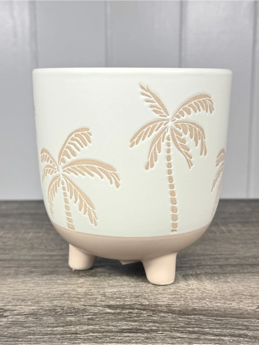 NEW Target Bullseye Playground Palm Tree Small Ceramic Planter